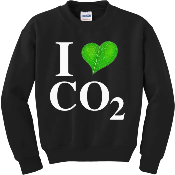 I Love Co2 Carbon Dioxide Climate Change Hoax Global Warming Kids Sweatshirt