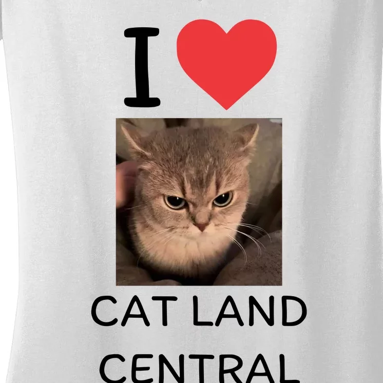 I Love Cat Land Central Women's V-Neck T-Shirt