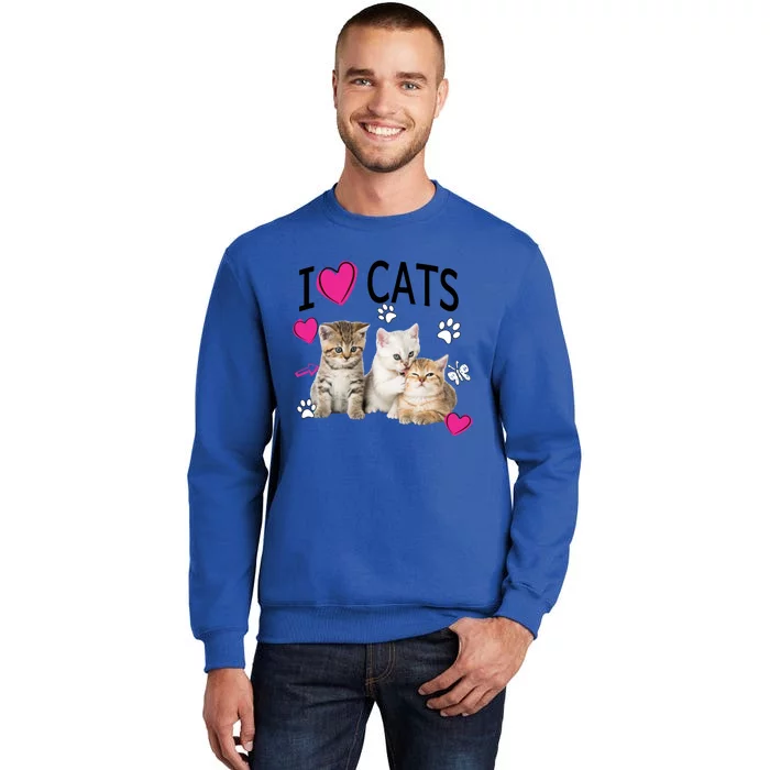 I Love Cats Gift Cat Lover Tee Gift I Love Kittens Gift Cool Gift Tall Sweatshirt