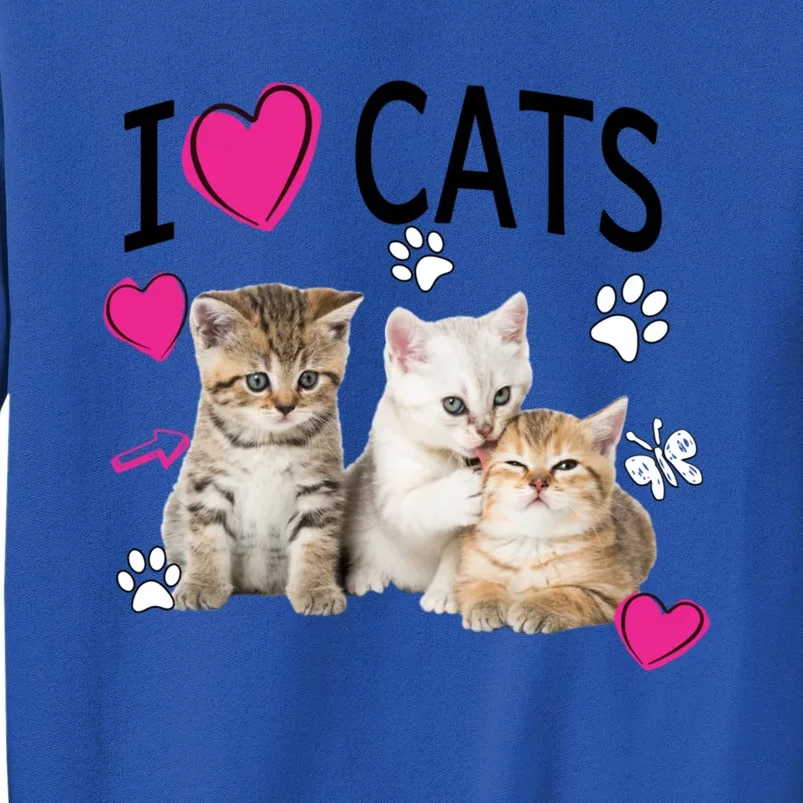 I Love Cats Gift Cat Lover Tee Gift I Love Kittens Gift Cool Gift Tall Sweatshirt