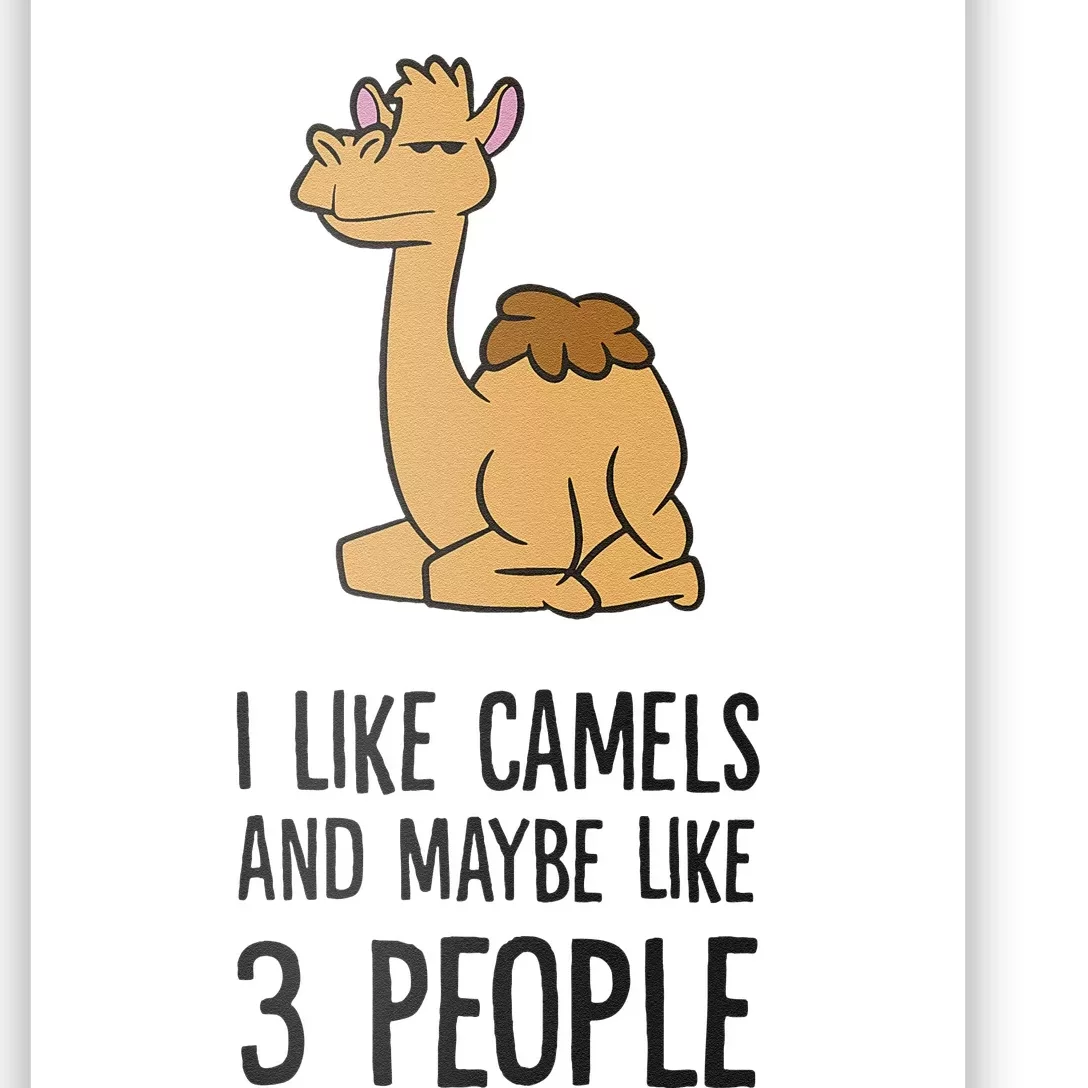 I Like Camels And Maybe Like 3 People Funny Camel Poster