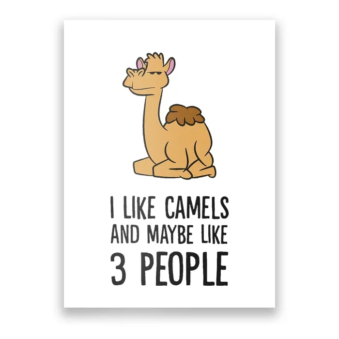 I Like Camels And Maybe Like 3 People Funny Camel Poster