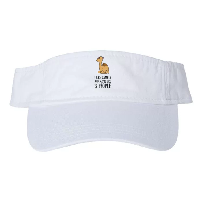 I Like Camels And Maybe Like 3 People Funny Camel Valucap Bio-Washed Visor