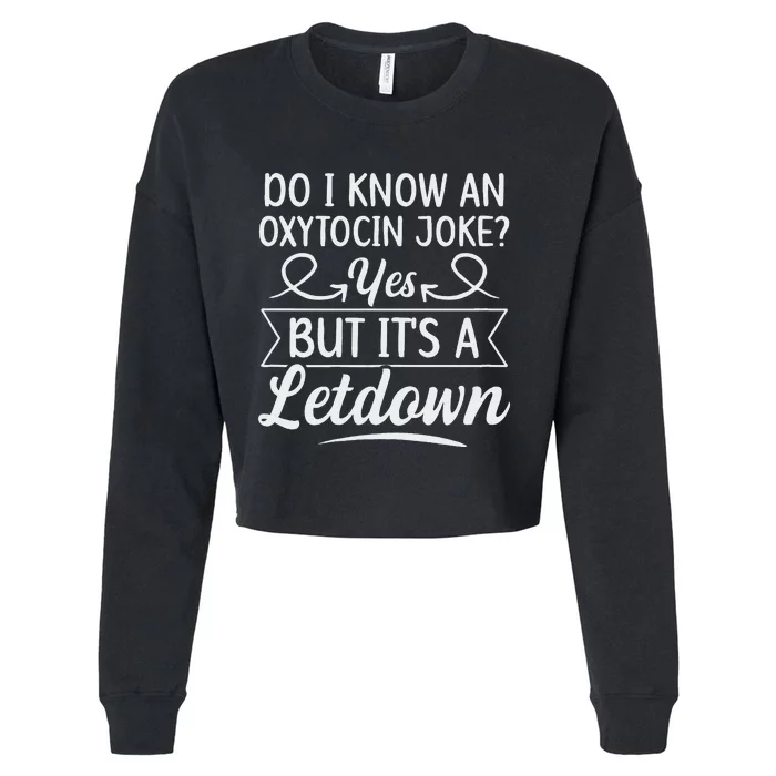 Ibclc Lactation Consultant Design For A Lactation Consultant Cropped Pullover Crew