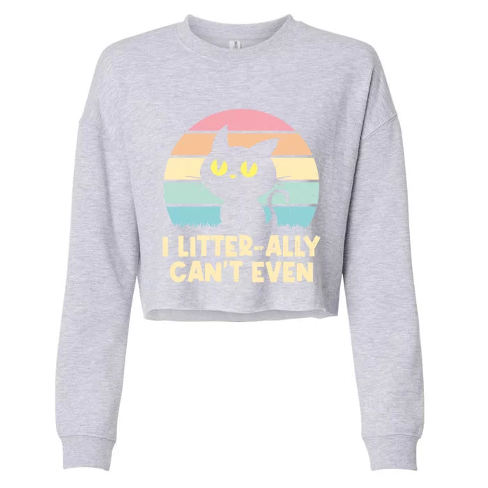 I Litterally Cant Even Cat Lover Funny Kitten Humor Cute Gift Cropped Pullover Crew