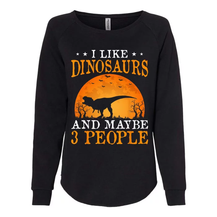 I Like Dinosaurs And Maybe 3 People Womens California Wash Sweatshirt