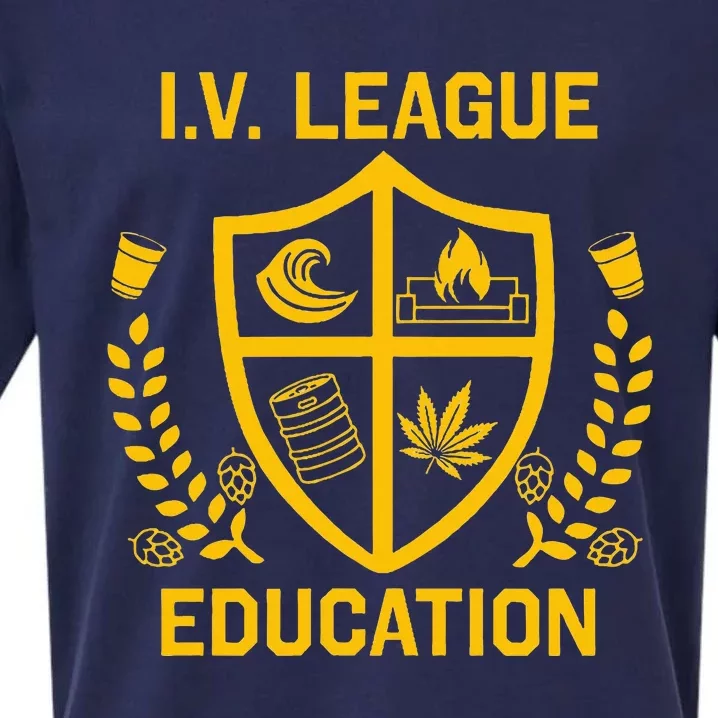 Iv League Education I Partied In Isla Vista Sueded Cloud Jersey T-Shirt