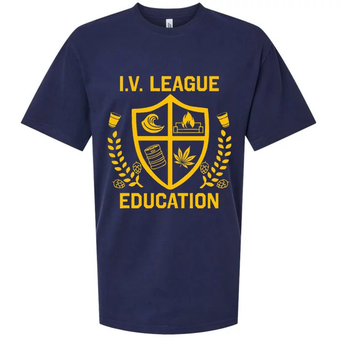 Iv League Education I Partied In Isla Vista Sueded Cloud Jersey T-Shirt