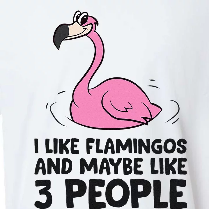 I Like Flamingos And Maybe Like 3 People Flamingos Sueded Cloud Jersey T-Shirt