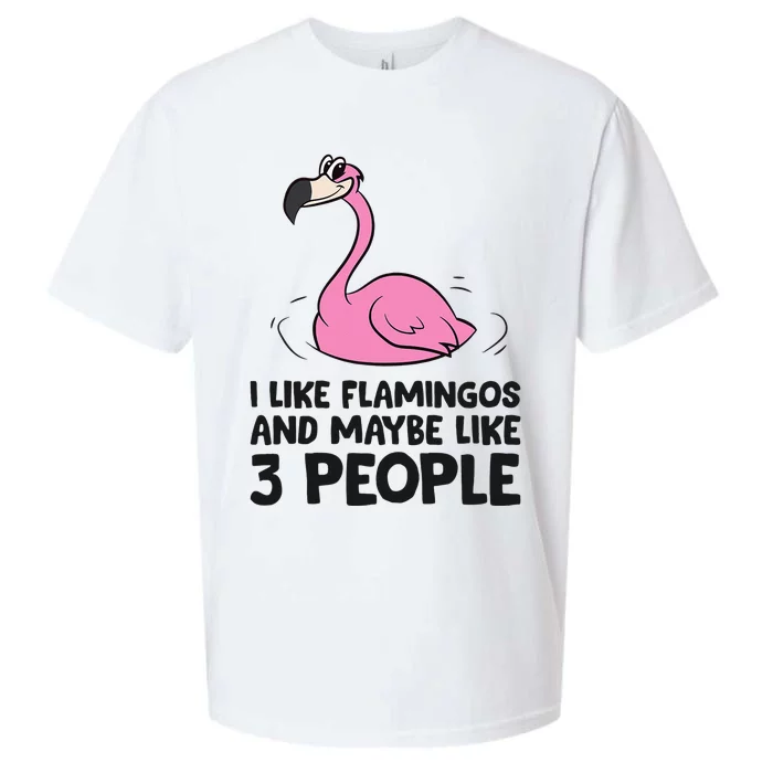 I Like Flamingos And Maybe Like 3 People Flamingos Sueded Cloud Jersey T-Shirt