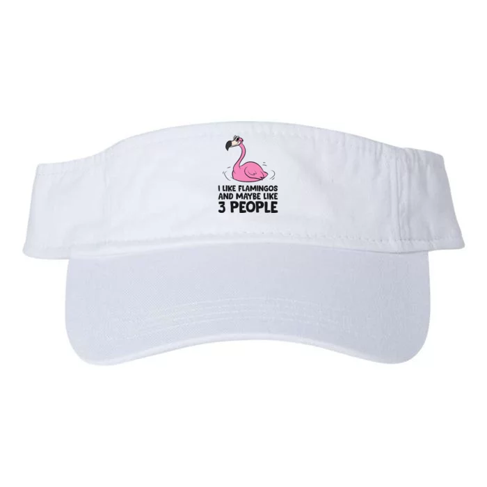 I Like Flamingos And Maybe Like 3 People Flamingos Valucap Bio-Washed Visor