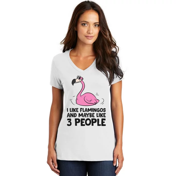 I Like Flamingos And Maybe Like 3 People Flamingos Women's V-Neck T-Shirt