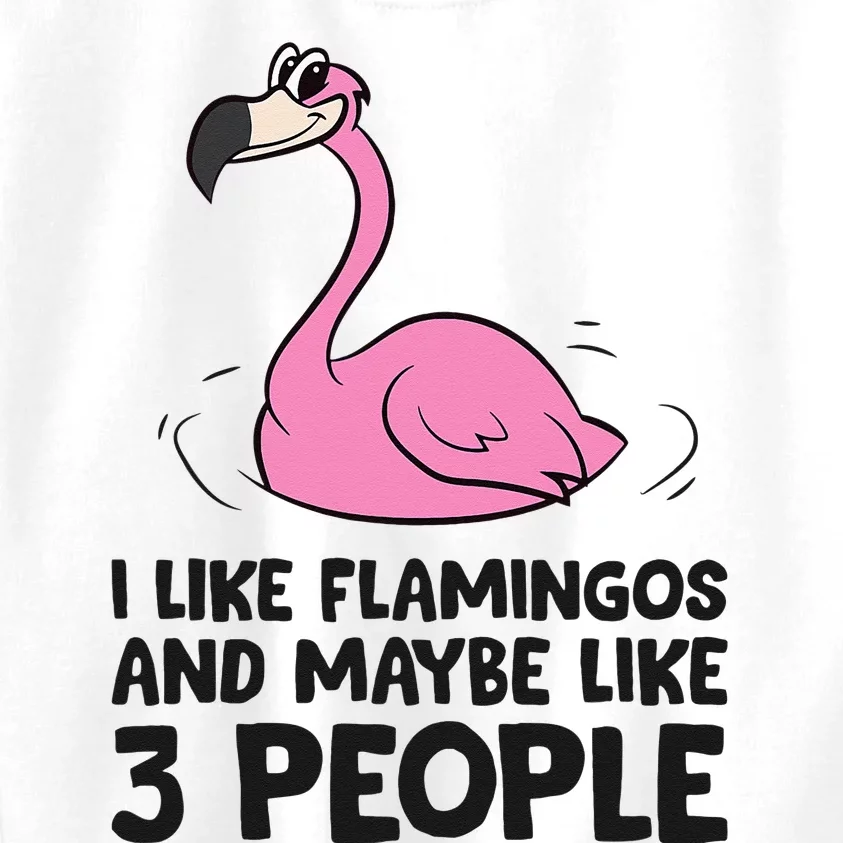 I Like Flamingos And Maybe Like 3 People Flamingos Kids Sweatshirt