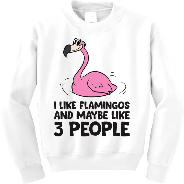 I Like Flamingos And Maybe Like 3 People Flamingos Kids Sweatshirt