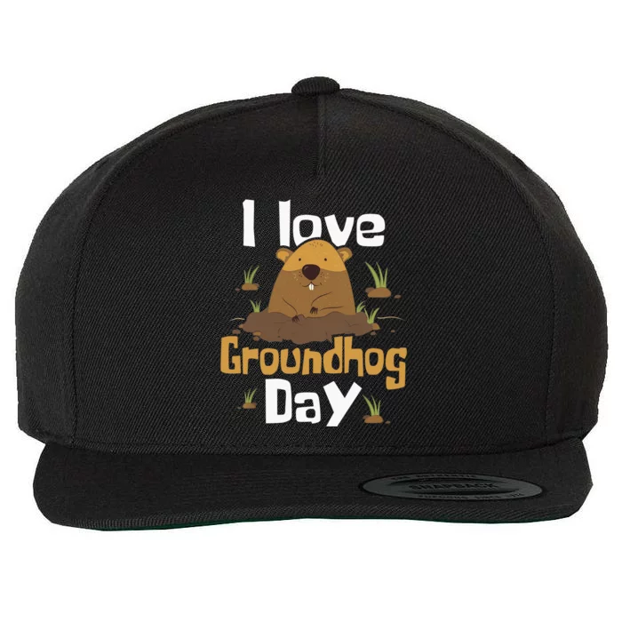 I Love Groundhog Day Funny Woodchuck Groundhog Day Wool Snapback Cap