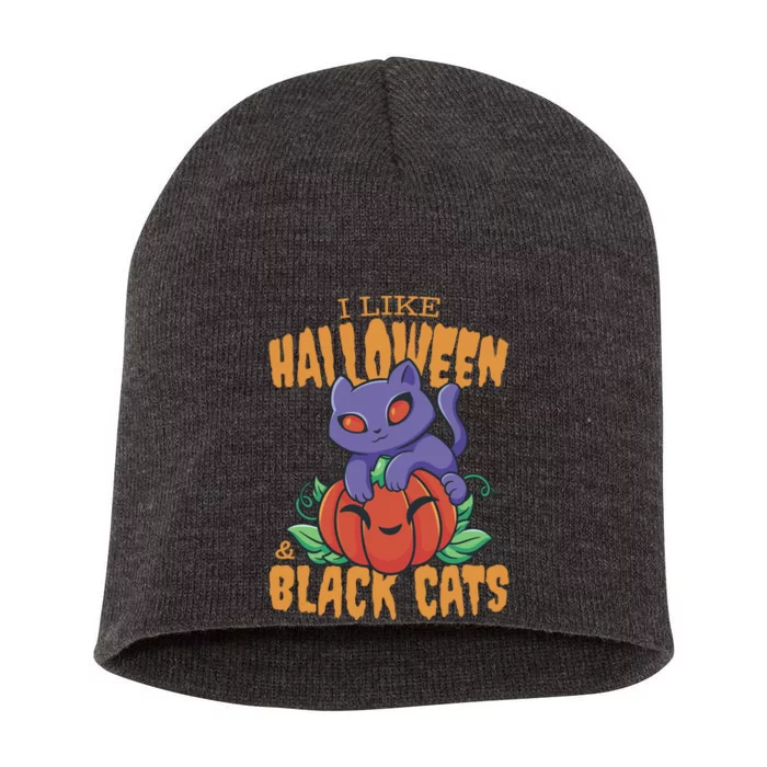 I Like Halloween And Black Cats Short Acrylic Beanie