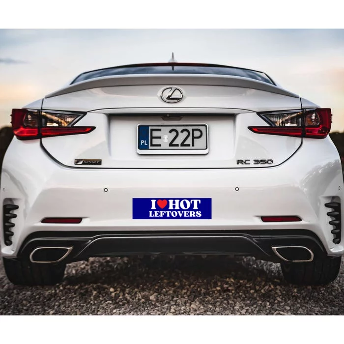 I Love Hot Leftovers Moms Dads Favorite National Leftovers D Meaningful Gift Bumper Sticker