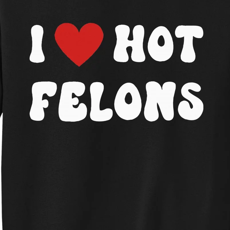 I Love Hot Felons Funny Statement Sweatshirt