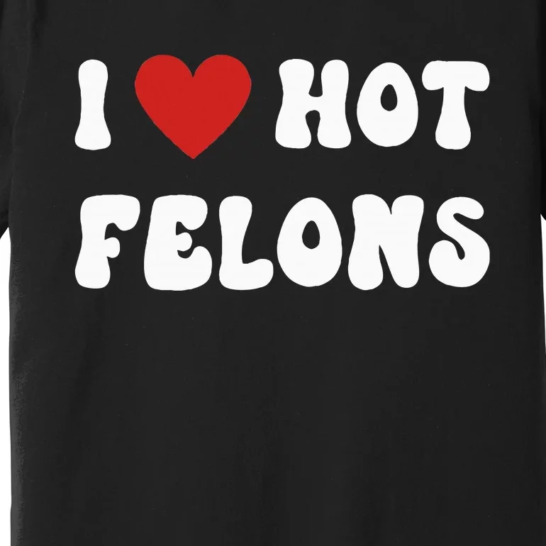 I Love Hot Felons Funny Statement Premium T-Shirt