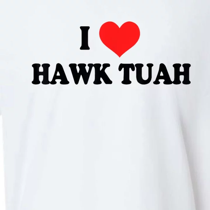 I Love Hawk Tuah Sueded Cloud Jersey T-Shirt