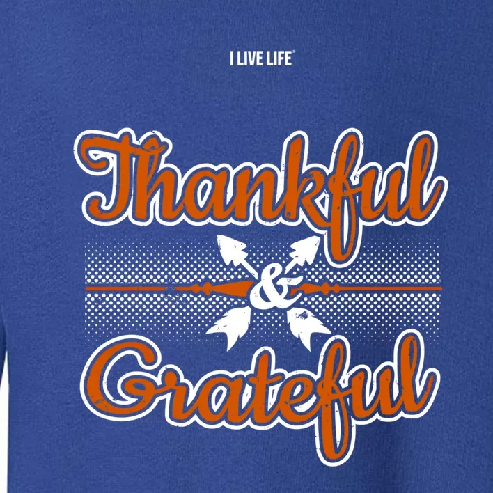 I Live Life Thankful And Grateful Funny Gift Toddler Sweatshirt