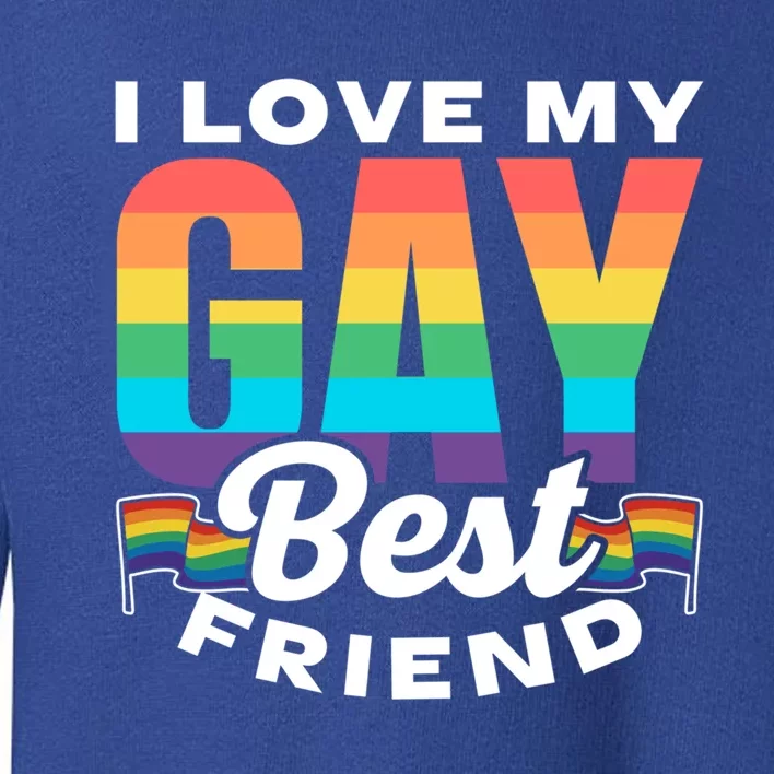 I Love My Gay Best Friend Rainbow Pride Proud Lgbtq Funny Gift Toddler Sweatshirt