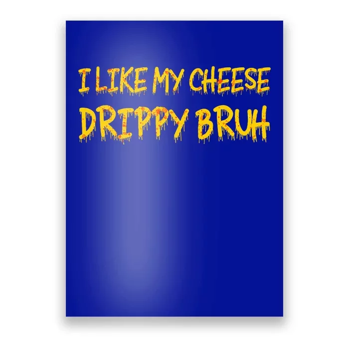 I Like My Cheese Drippy Bruh Poster