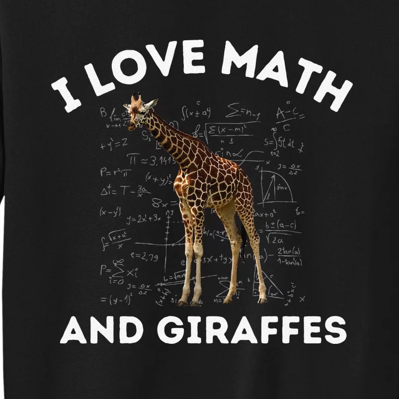 I Love Math And Giraffes Algebra STEM Teacher Sweatshirt