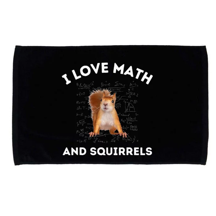 I Love Math And Squirrels Squirrel Lover Algebra Teacher Microfiber Hand Towel