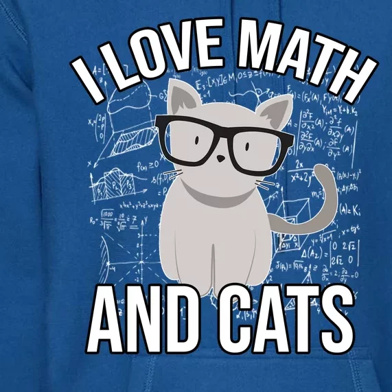 I Love Math And Cats Funny Premium Hoodie