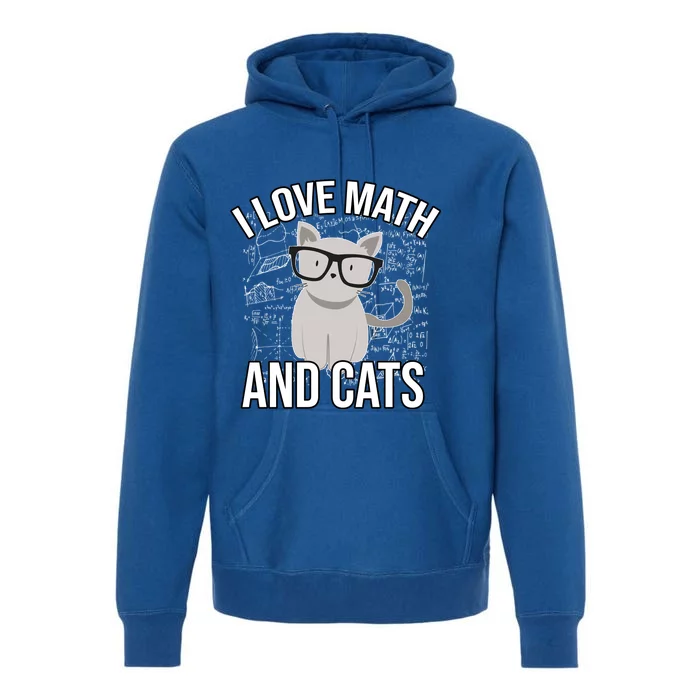 I Love Math And Cats Funny Premium Hoodie