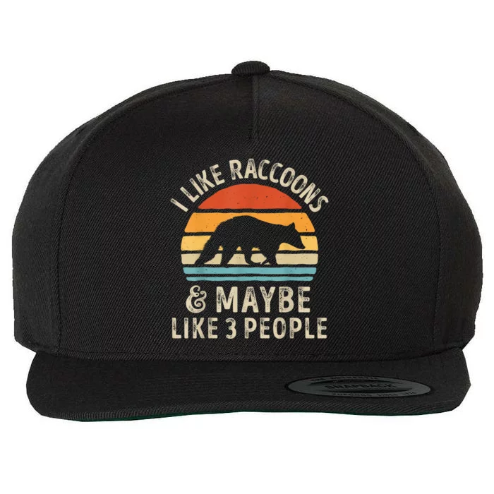 I Like Raccoons And Maybe Like 3 People Raccoon Lover Retro Wool Snapback Cap