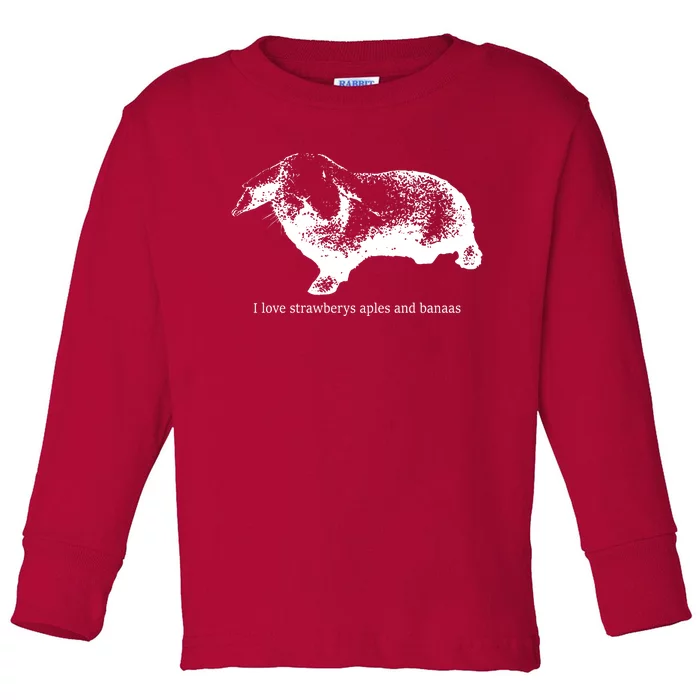 I Love Strawberys Aples And Banaas Toddler Long Sleeve Shirt