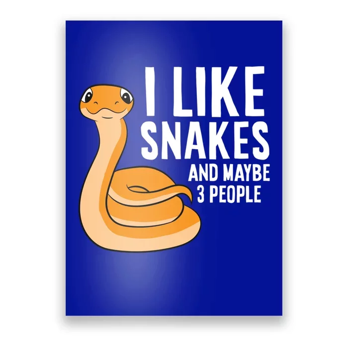 I Like Snakes And Maybe 3 People Snake Reptile Lover Gift Poster