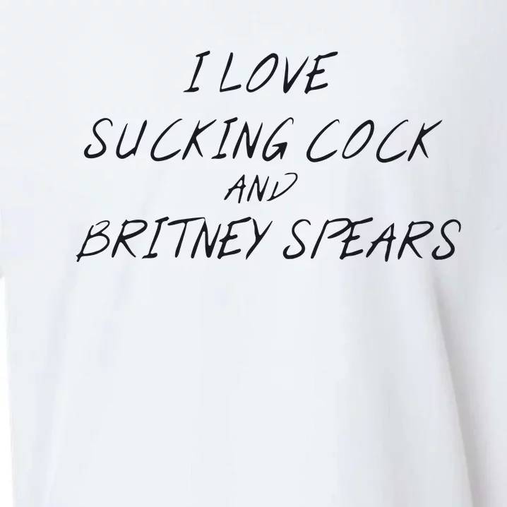 I Love Sucking Cock And Britney Spear Sueded Cloud Jersey T-Shirt