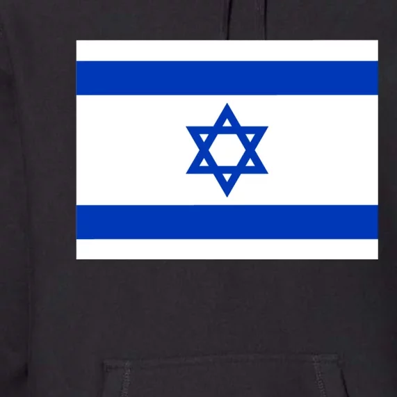 Israel Love Stand With Israel Premium Hoodie