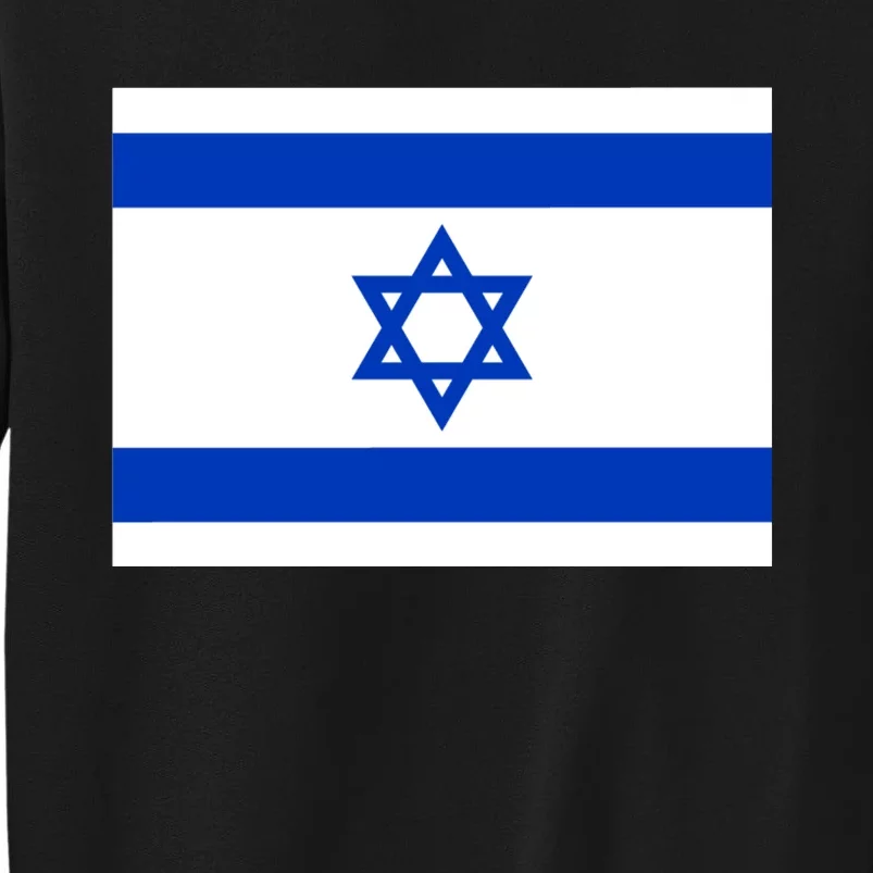 Israel Love Stand With Israel Tall Sweatshirt