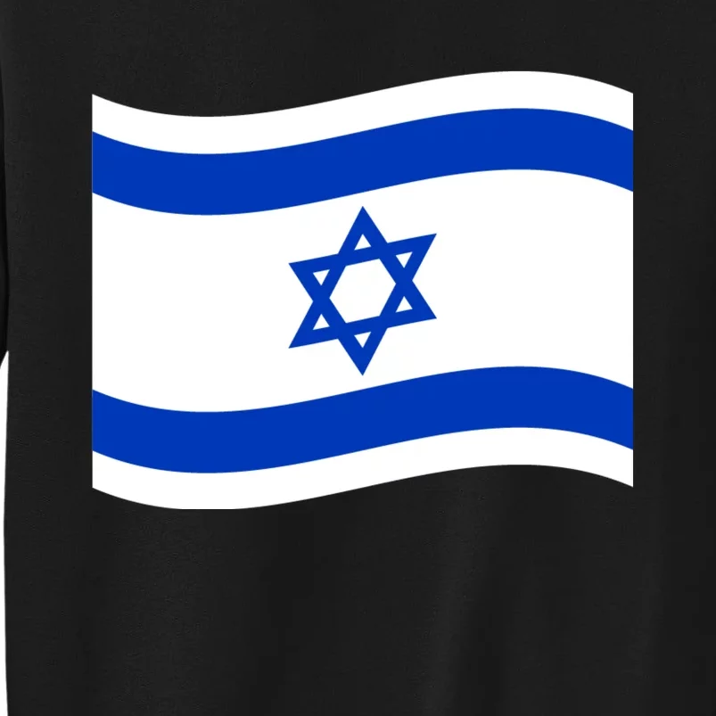 Israel Love Stand With Israel Sweatshirt