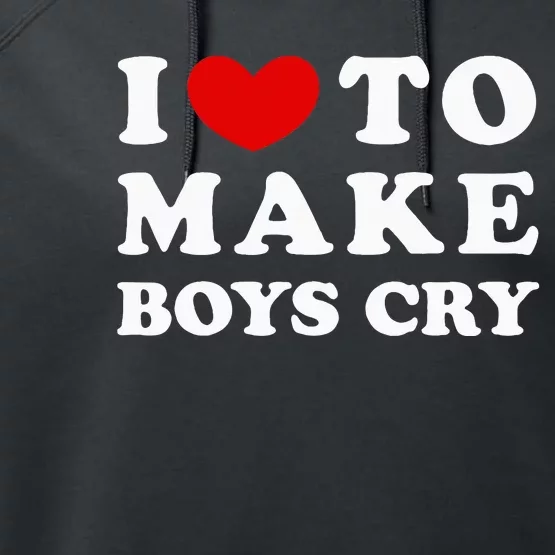 I Love To Make Boy Cry I Like To Make Boy Cry Performance Fleece Hoodie