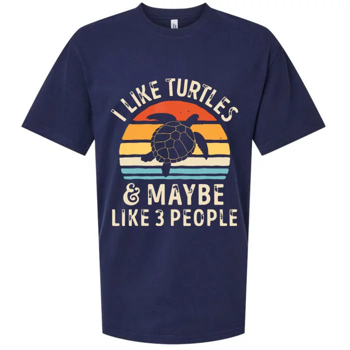 I Like Turtles And Maybe 3 People Turtle Reptile Lover Retro Sueded Cloud Jersey T-Shirt