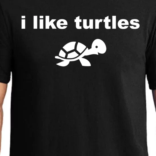 I Like Turtles Cute Funny Turtle Pefunny Gift Great Gift Pajama Set