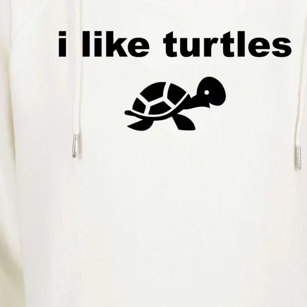 I Like Turtles Cute Funny Turtle Pefunny Gift Great Gift Womens Funnel Neck Pullover Hood