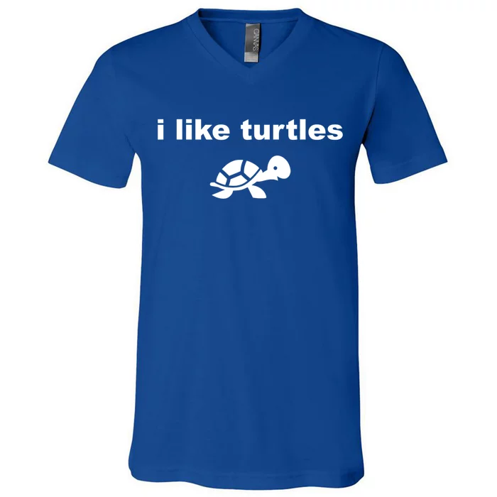 I Like Turtles Cute Funny Turtle Pefunny Gift Great Gift V-Neck T-Shirt