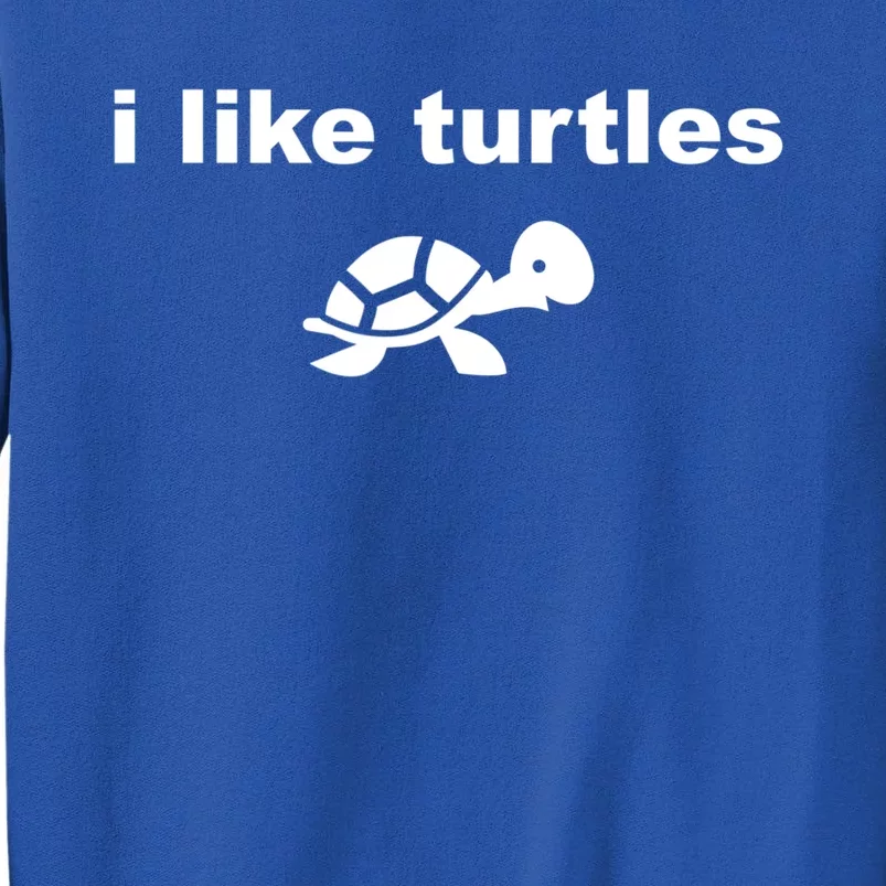 I Like Turtles Cute Funny Turtle Pefunny Gift Great Gift Tall Sweatshirt