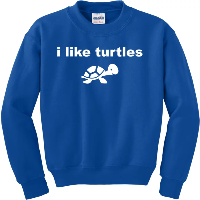 I Like Turtles Cute Funny Turtle Pefunny Gift Great Gift Kids Sweatshirt