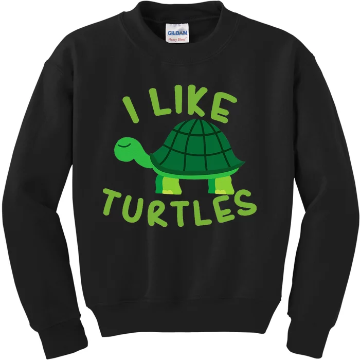 I Like Turtles Tortoise Sea Animal Funny Gift Kids Sweatshirt