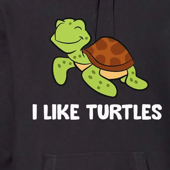 I Like Turtles Reptile Funny Sea Turtle Premium Hoodie