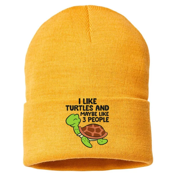 I Like Turtles And Maybe Like 3 People Turtles Sustainable Knit Beanie