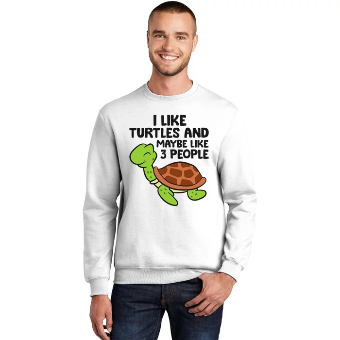 I Like Turtles And Maybe Like 3 People Turtles Sweatshirt