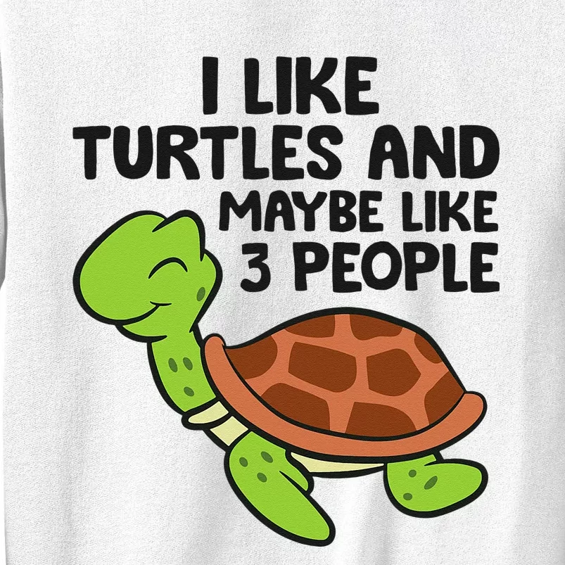 I Like Turtles And Maybe Like 3 People Turtles Sweatshirt